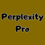 perplexity pro text icon